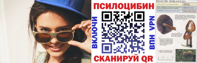 цена   гидра ТОР  Псилоцибиновые грибы Psilocybine cubensis  Усть-Джегута 