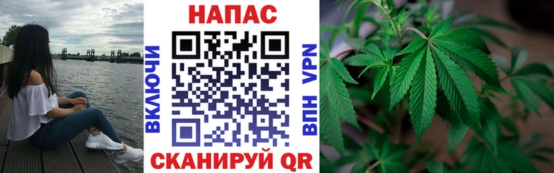 закладка  Усть-Джегута  Конопля планчик 